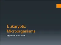 Eukaryotic Microorganisms Algae and Protozoans 2