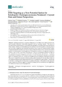 IDH1 Targeting As a New Potential Option for Intrahepatic Cholangiocarcinoma Treatment—Current State and Future Perspectives