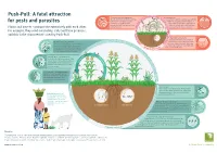 Push-Pull: a Fatal Attraction for Pests and Parasites