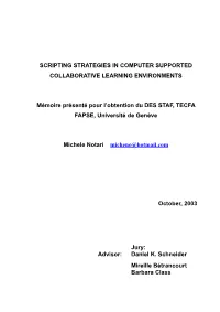 Scripting Strategies in Computer Supported Collaborative Learning Environments