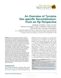 An Overview of Tyrosine Site-Specific Recombination: from an Flp Perspective