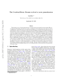 Arxiv:2007.09560V2 [Q-Bio.NC] 24 Sep 2020