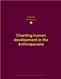 Charting Human Development in the Anthropocene