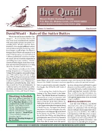 David Wyatt • Bats of the Sutter Buttes What Is the Only Mammal That Flies? Yes, You Got It