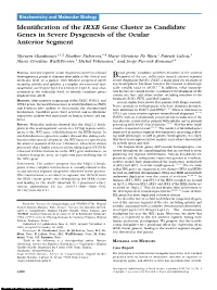Identification of the IRXB Gene Cluster As Candidate Genes in Severe