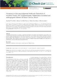 Occurrence of the Non-Indigenous Brittle Star Ophiothela Cf. Mirabilis
