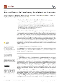 Structural Basis of the Pore-Forming Toxin/Membrane Interaction