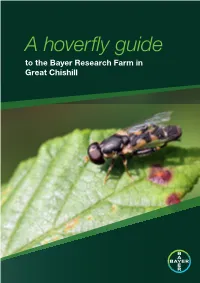 A Hoverfly Guide to the Bayer Research Farm in Great Chishill