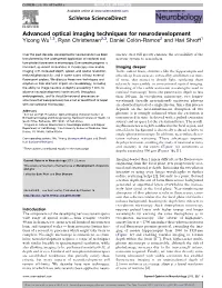 Advanced Optical Imaging Techniques for Neurodevelopment