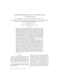 An Electron Microscopic Study of the Intestinal Villus I