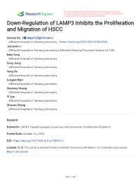 Down-Regulation of LAMP3 Inhibits the Proliferation and Migration of HSCC