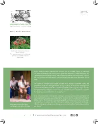 Fall 2019 Newsletter