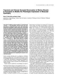 Transient and Chronic Neonatal Denervation of Murine Muscle: a Procedure to Modify the Phenotypic Expression of Muscular Dystrophy