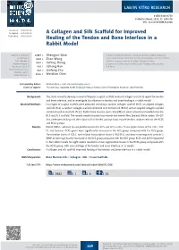 A Collagen and Silk Scaffold for Improved Healing of the Tendon