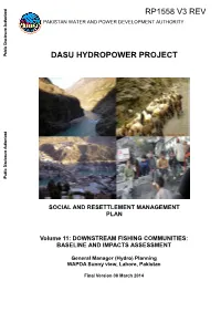 Dasu Hydropower Project