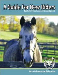 Guide for New Riders, From