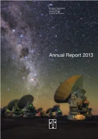 Annual Report 2013