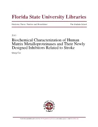 Biochemical Characterization of Human Matrix Metalloproteinases and Their Newly Designed Inhibitors Related to Stroke Qiang Cao