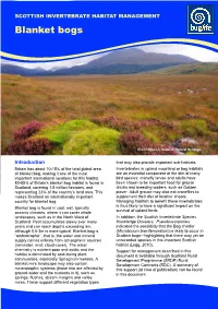 Blanket Bogs