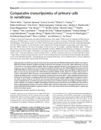 Comparative Transcriptomics of Primary Cells in Vertebrates