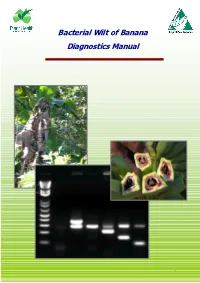 Bacterial Wilt of Banana Diagnostics Manual