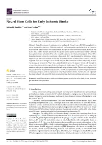 Neural Stem Cells for Early Ischemic Stroke