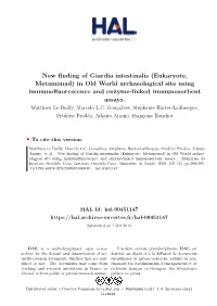 New Finding of Giardia Intestinalis (Eukaryote, Metamonad) in Old World Archaeological Site Using Immunofluorescence and Enzyme-Linked Immunosorbent Assays