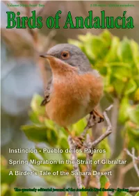 2020 Spring ABS Magazine – View Single Pages