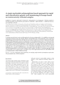 A Single-Nucleotide Polymorphism-Based Approach for Rapid and Cost-Effective Genetic Wolf Monitoring in Europe Based on Noninvasively Collected Samples