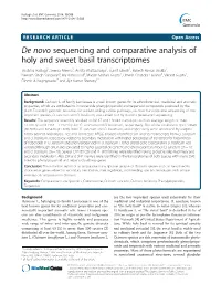 De Novo Sequencing and Comparative Analysis of Holy and Sweet Basil