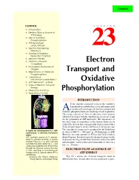 Electron Transport and Oxidative Phosphorylation, the Final Stage of Cell Respiration