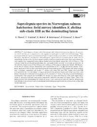 Saprolegnia Species in Norwegian Salmon Hatcheries: Field Survey Identifies S