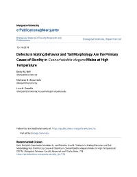 Defects in Mating Behavior and Tail Morphology Are the Primary Cause of Sterility in Caenorhabditis Elegans Males at High Temperature