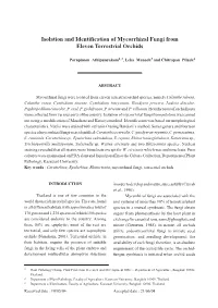 Isolation and Identification of Mycorrhizal Fungi from Eleven Terrestrial Orchids