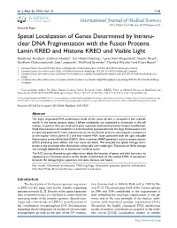 Spatial Localization of Genes Determined by Intranu- Clear DNA Fragmentation with the Fusion Proteins Lamin KRED and Histone