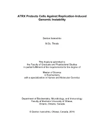 ATRX Protects Cells Against Replication-Induced Genomic Instability