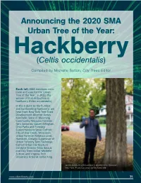 (Celtis Occidentalis) Announcing the 2020 SMA Urban Tree of the Year