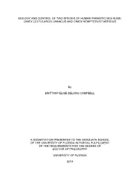 University of Florida Thesis Or Dissertation Formatting Template