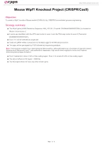 Mouse Wipf1 Knockout Project (CRISPR/Cas9)