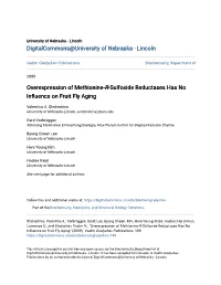 Overexpression of Methionine-R-Sulfoxide Reductases Has No Influence on Ruitf Fly Aging