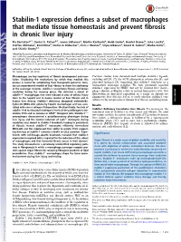 Stabilin-1 Expression Defines a Subset of Macrophages That Mediate Tissue Homeostasis and Prevent Fibrosis in Chronic Liver Injury