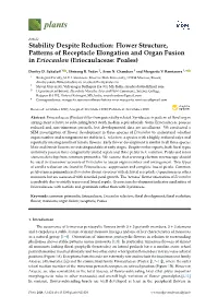 Stability Despite Reduction: Flower Structure, Patterns of Receptacle Elongation and Organ Fusion in Eriocaulon (Eriocaulaceae: Poales)