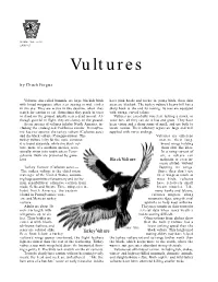 Vultures by Chuck Fergus