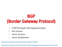 BGP (Border Gateway Protocol)