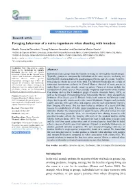Foraging Behaviour of a Native Topminnow When Shoaling with Invaders