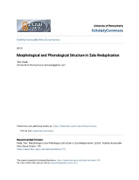 Morphological and Phonological Structure in Zulu Reduplication