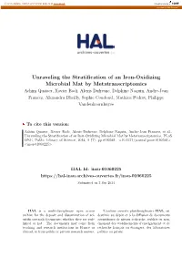 Unraveling the Stratification of an Iron-Oxidizing Microbial Mat by Metatranscriptomics