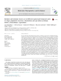 094 MPE 2015.Pdf