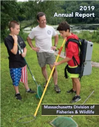 2019 Annual Report