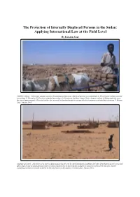Protecting Internally Displaced Persons in The